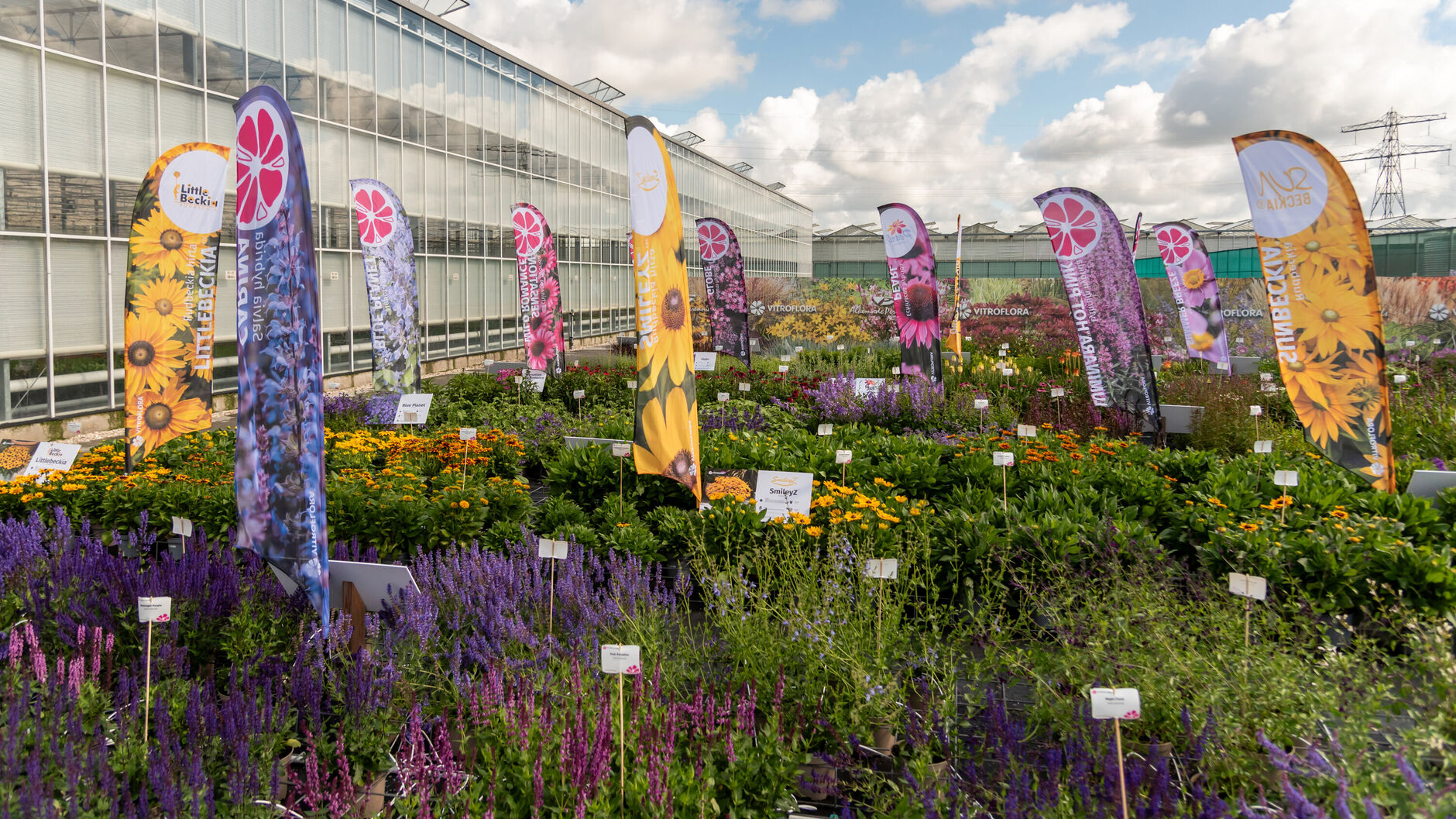 Flower Trials 2025