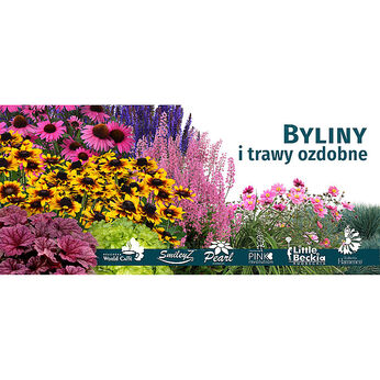 Baner - Byliny i Trawy