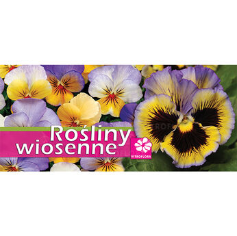 Baner - Rośliny wiosenne - Bratek z logo VF