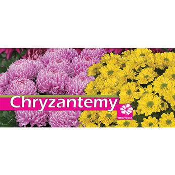 Baner - Chryzantema z logo VF