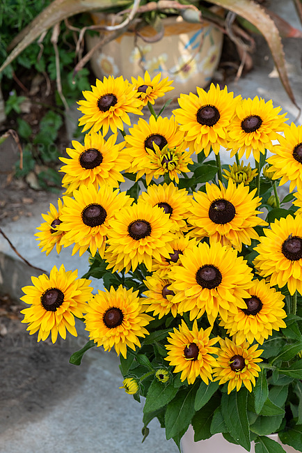 Xotinlar erlarini sorishadimi?