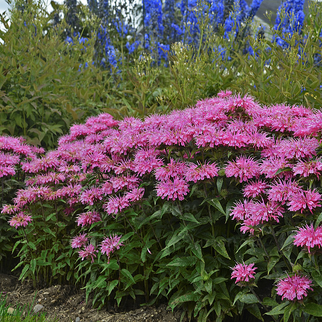 Walters Gardens Inc.