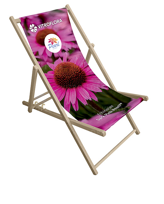 Echinacea Dark Pink Pearl™