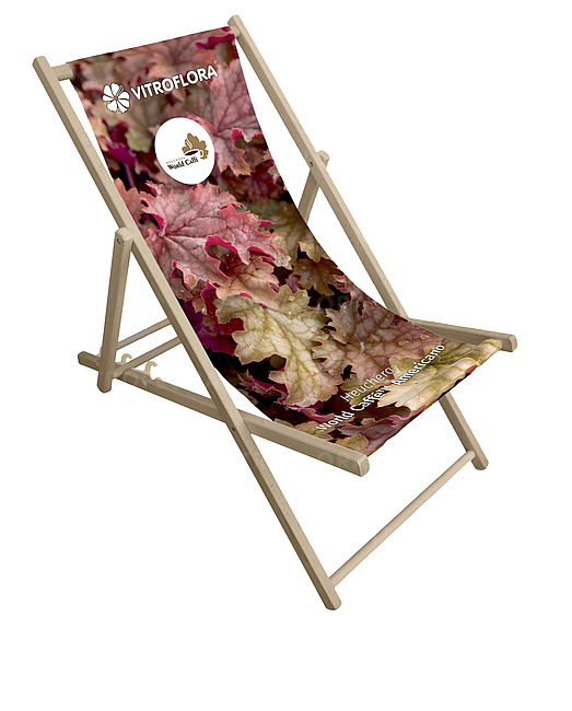 Heuchera World Caffe™ Americano