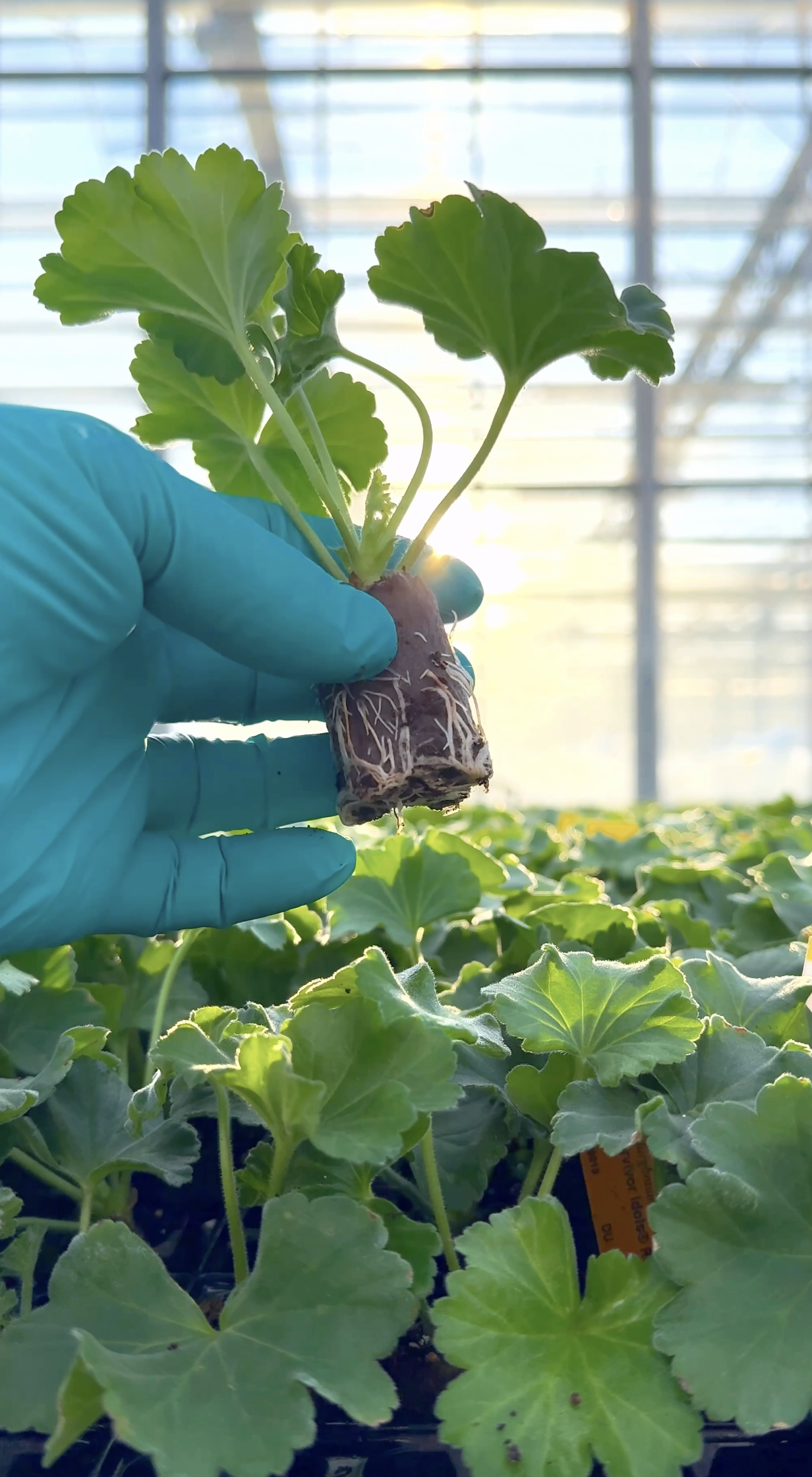 Początek sezonu 2026!