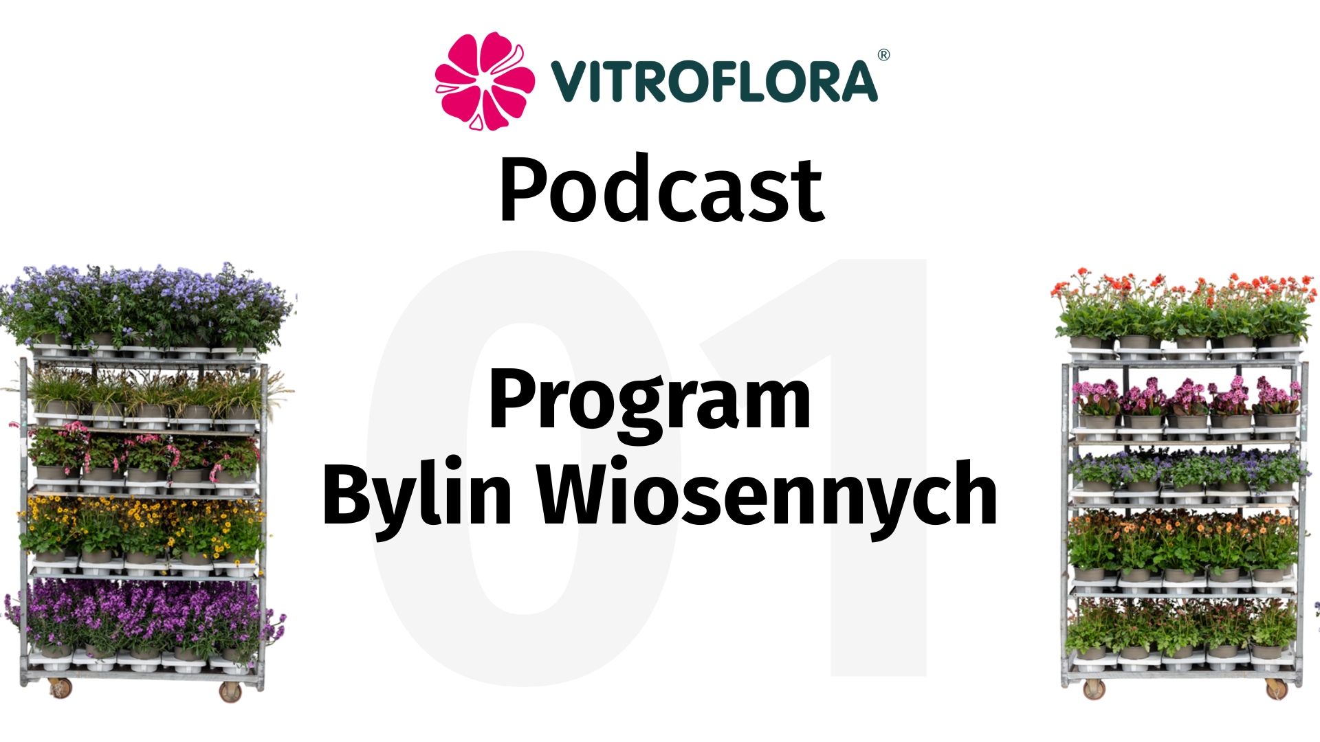 Spring Perennials - Podcast